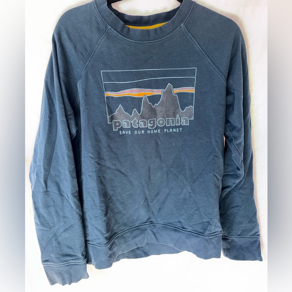 Patagonia Blue Graphic with Sunrise Accent organic cotton crewneck sweater